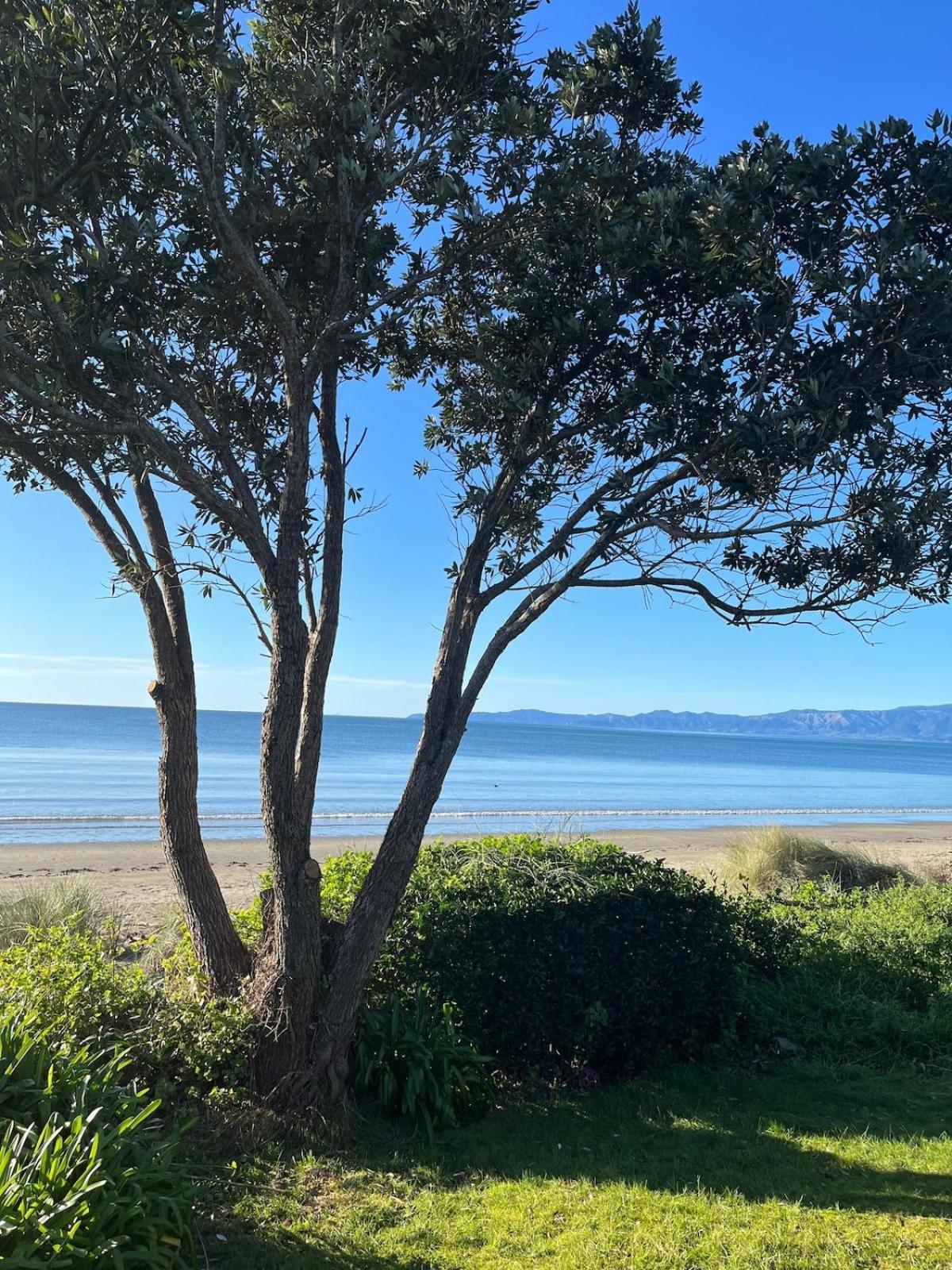 Beachfront Bliss - Your Parapara Seaside Retreat Exterior photo