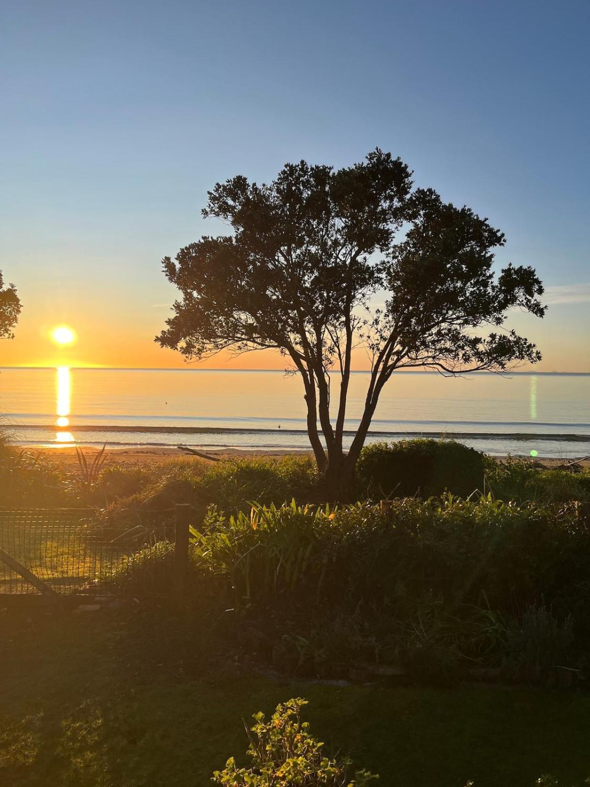Beachfront Bliss - Your Parapara Seaside Retreat Exterior photo